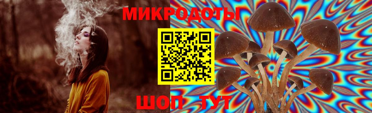 Галлюциногенные грибы Magic Shrooms Алейск
