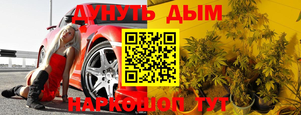 Канабис SATIVA & INDICA  Марихуана Ganja  Канабис VHQ  Вход с VPN  Алейск  Каннабис план 